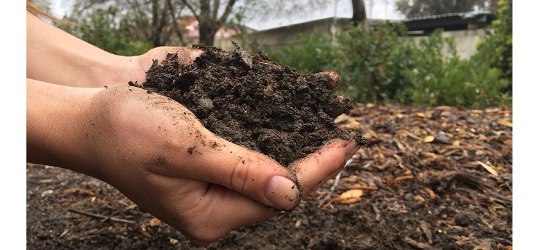 Vermicompost